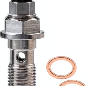 Motorcycle Banjo Bolt Bleed Nipple LE LEFOSSI-0