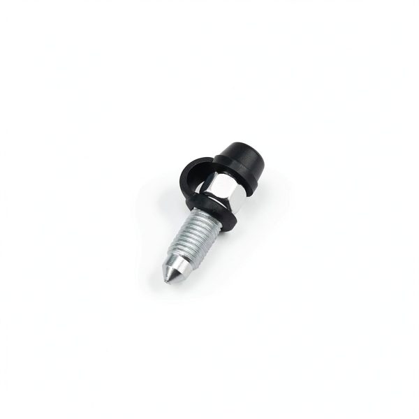Motorcycle Brake Bleeder Screw LT Easiyl Steel-6